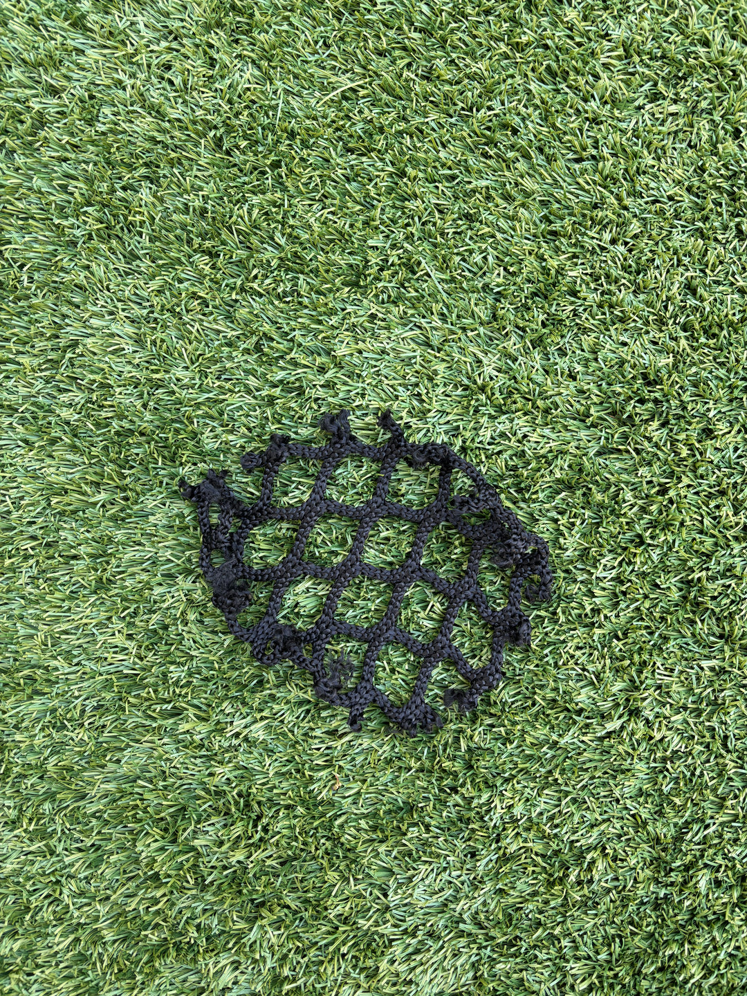 NY Atlas Authentic Championship Game Net