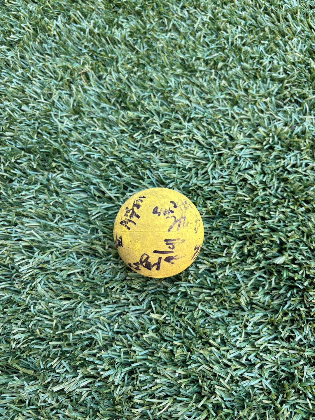 Maryland Whipsnakes Authentic Team Signed Ball