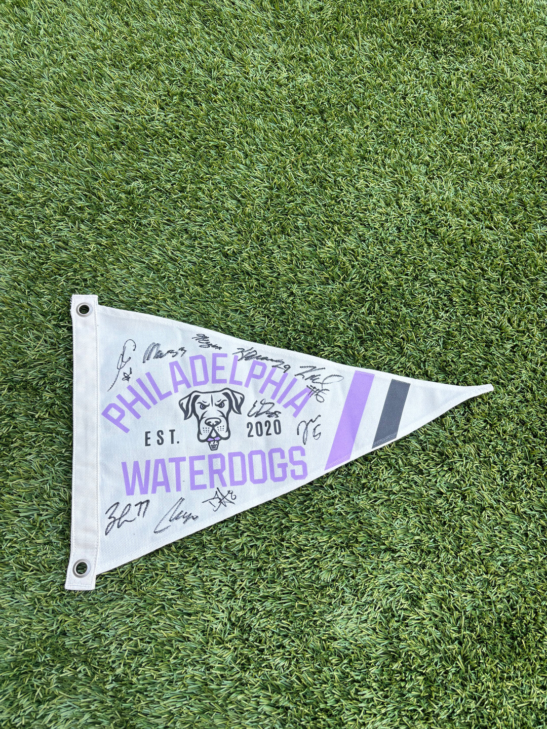 Philadelphia Waterdogs Authentic Team Signed Pennant