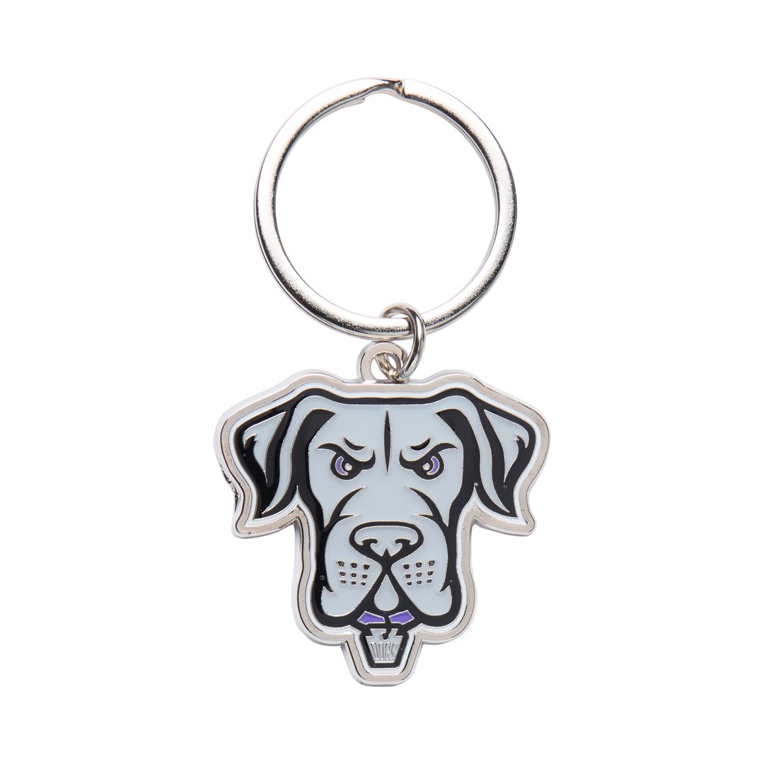 Philadelphia Waterdogs Key Chain