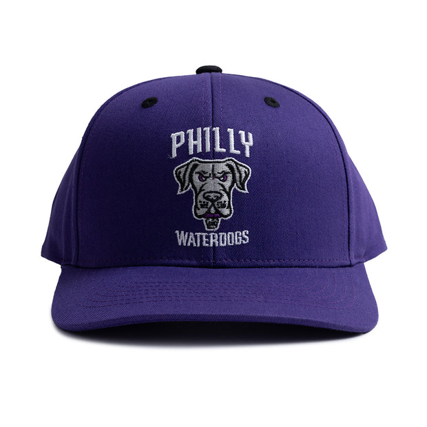 Philadelphia Waterdogs Primary Logo Hat