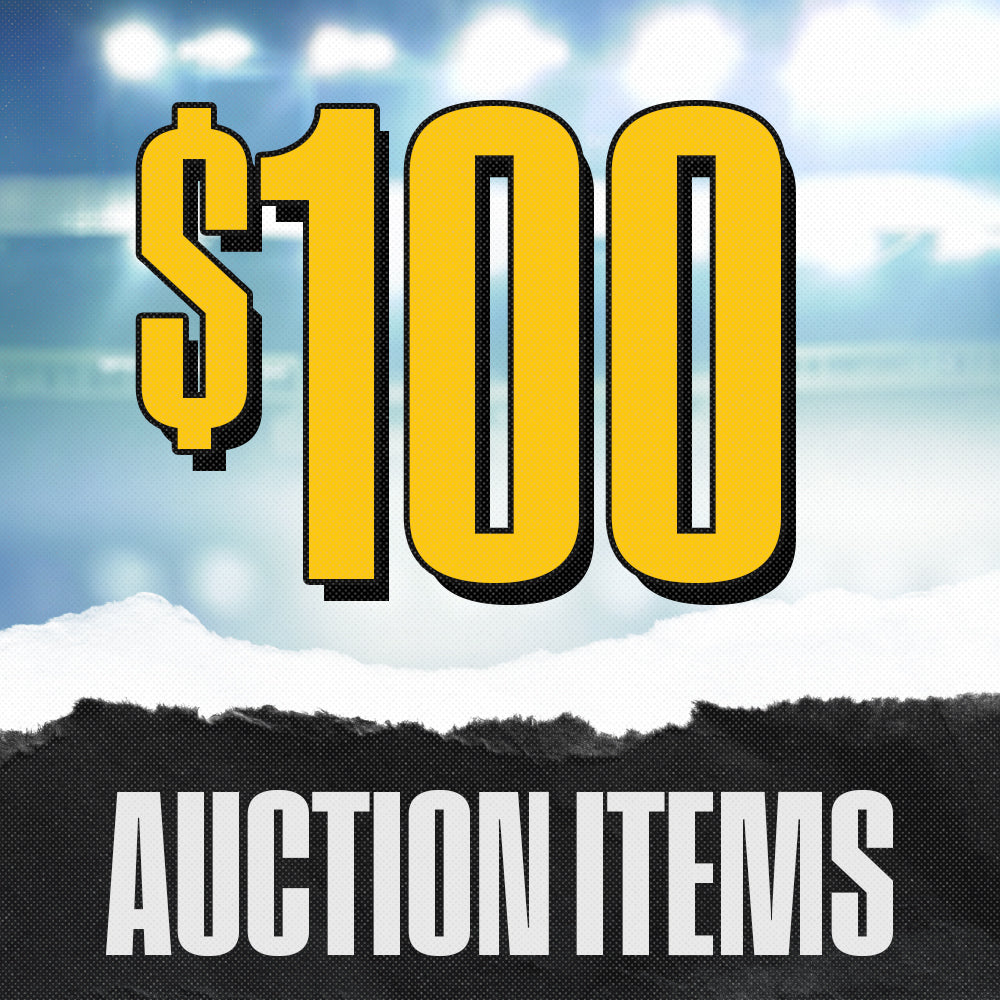 Auction $100 Items