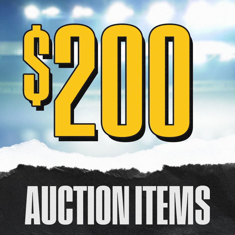 Auction $200 Items