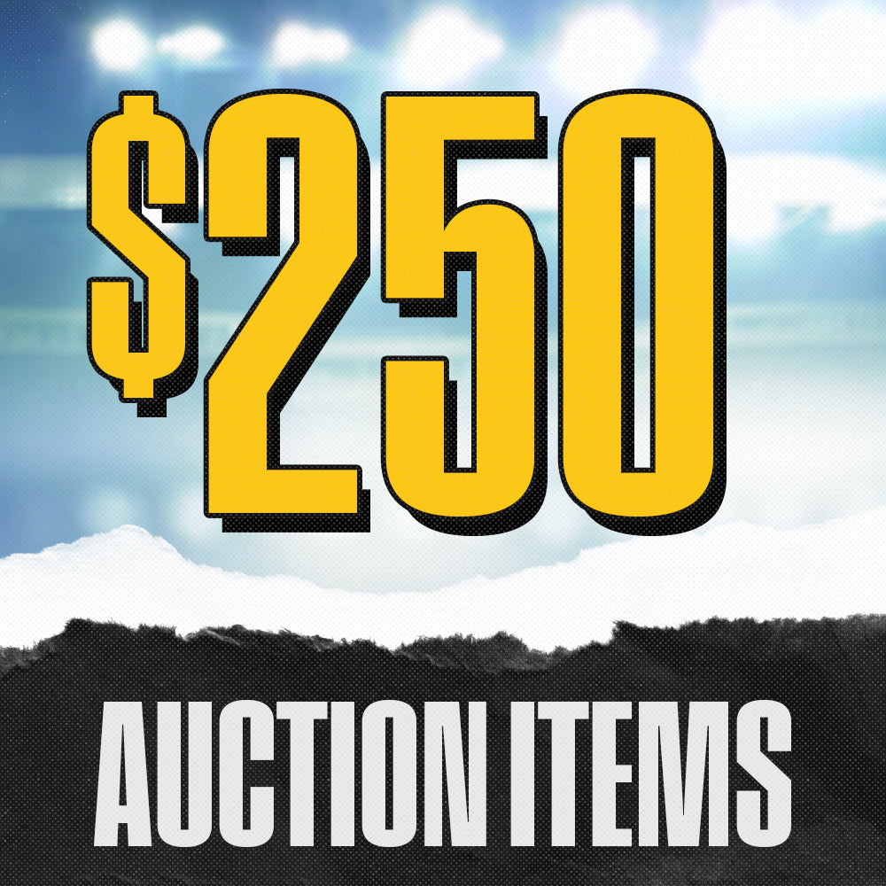 Auction $250 Items