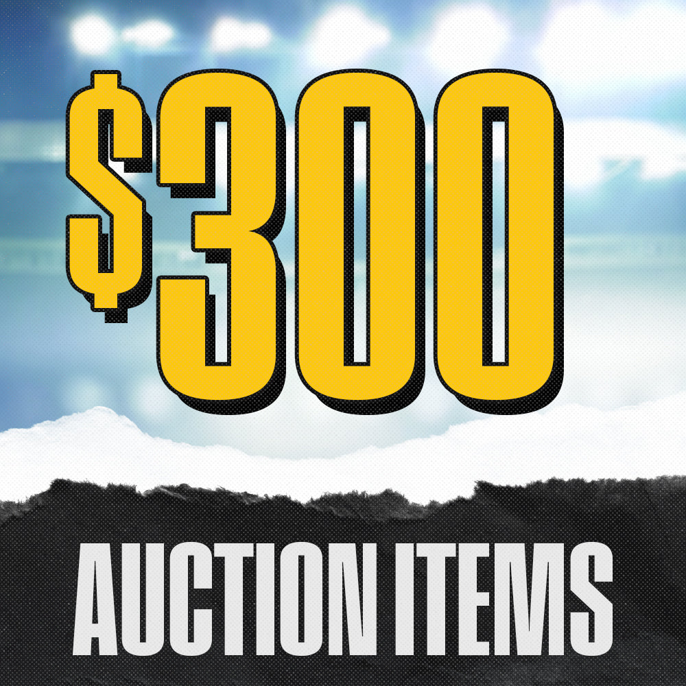 Auction $300 Items