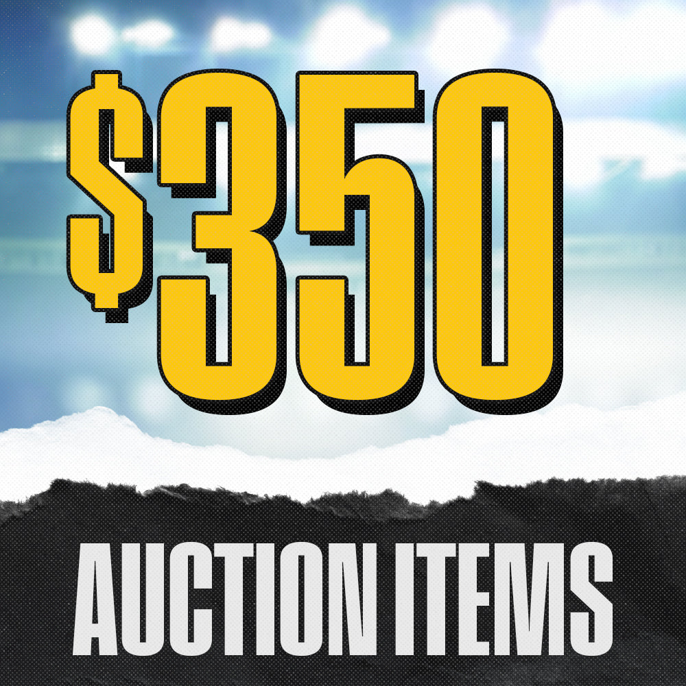 Auction $350 Items