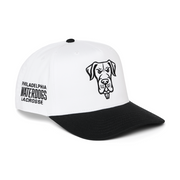 Philadelphia Waterdogs Cruiser Hat