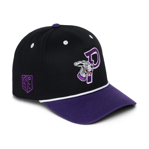 Philadelphia Waterdogs Throwback Hat