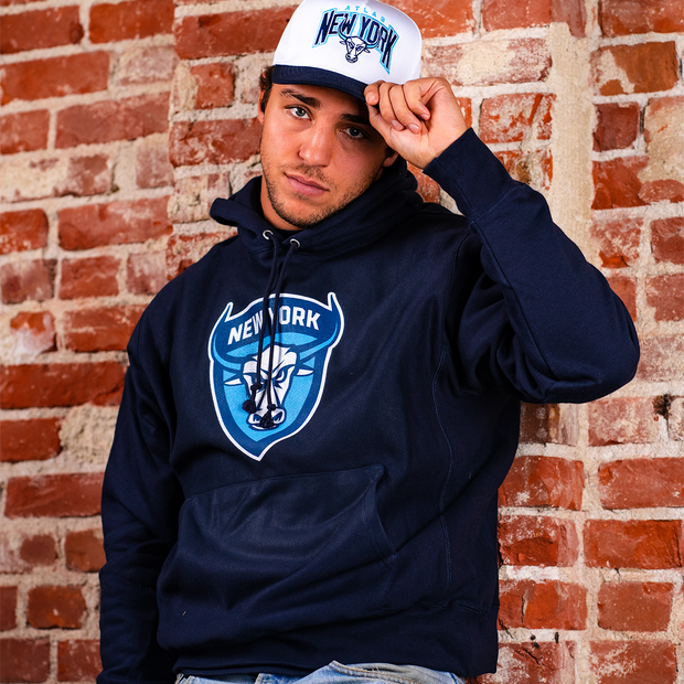 Champion blue 2025 reverse weave hoodie