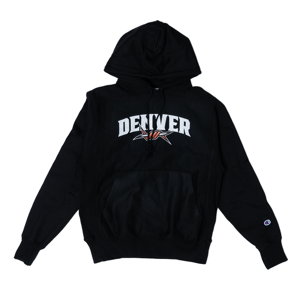 Drake clearance champion hoodie