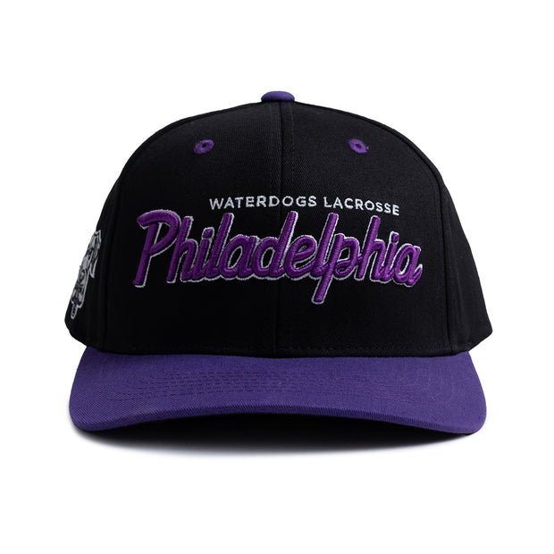 Philadelphia Waterdogs Script Hat