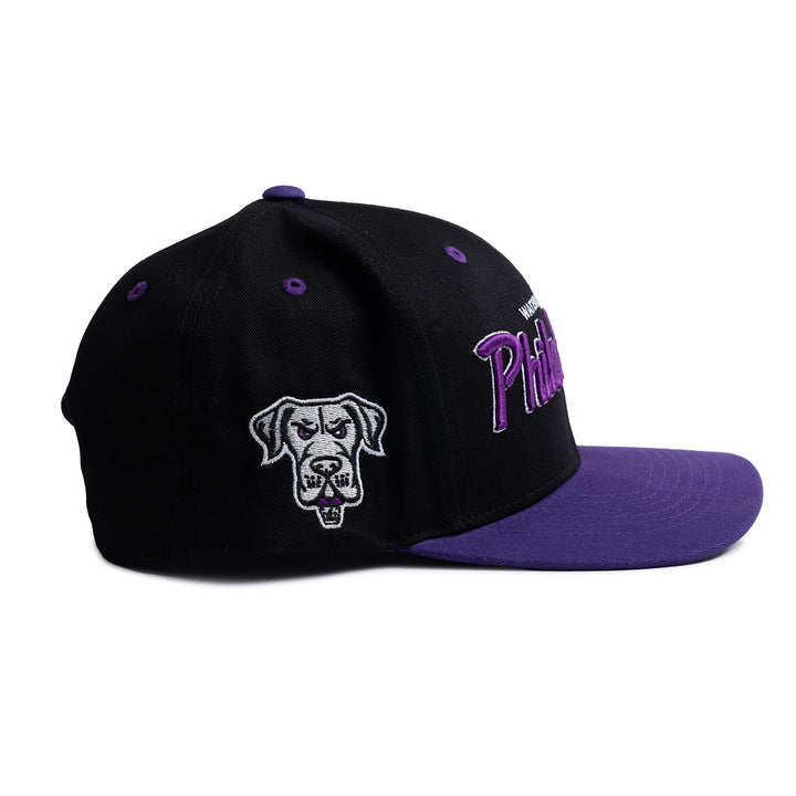 Philadelphia Waterdogs Script Hat