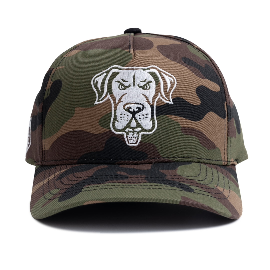 Philadelphia Waterdogs Camo Hat