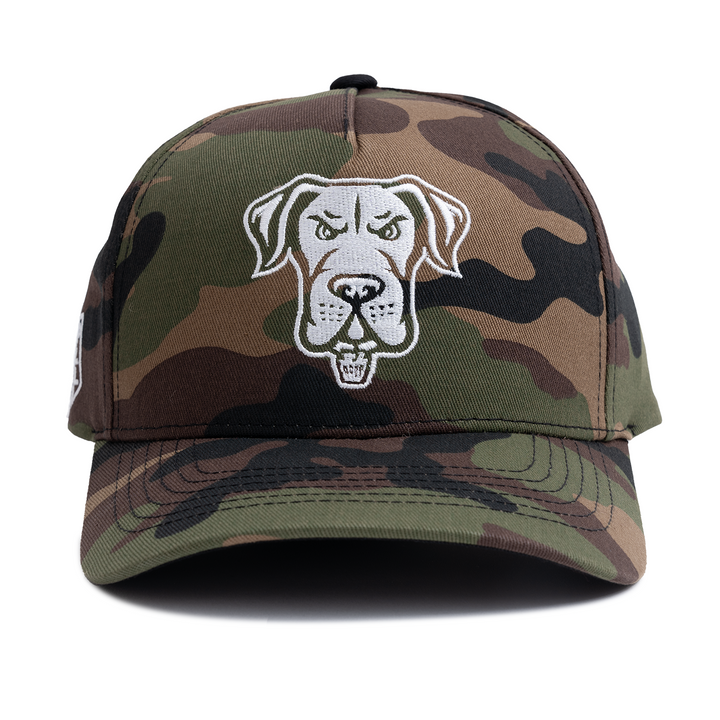 Philadelphia Waterdogs Camo Hat