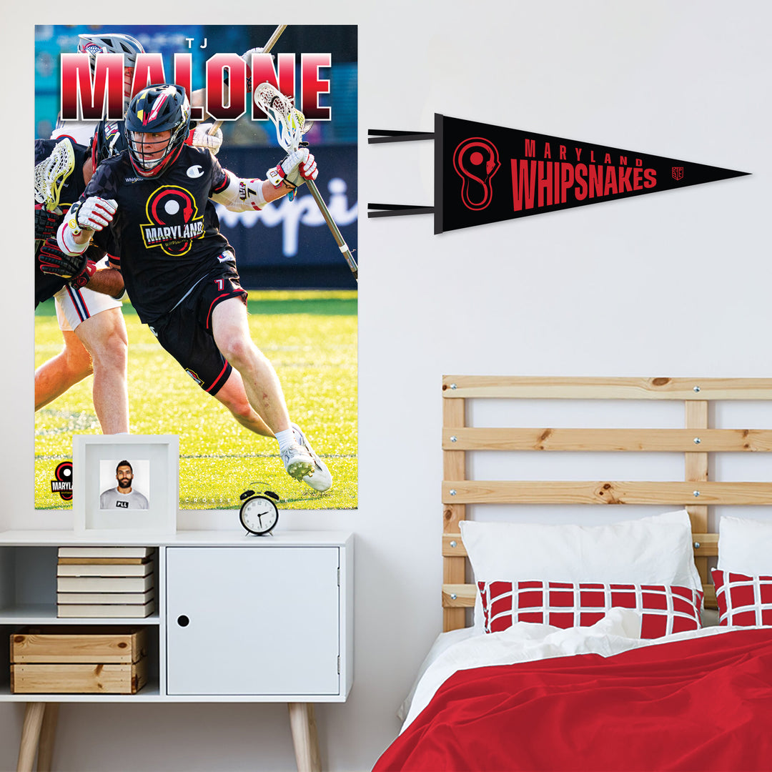 Maryland Whipnakes Felt Pennant