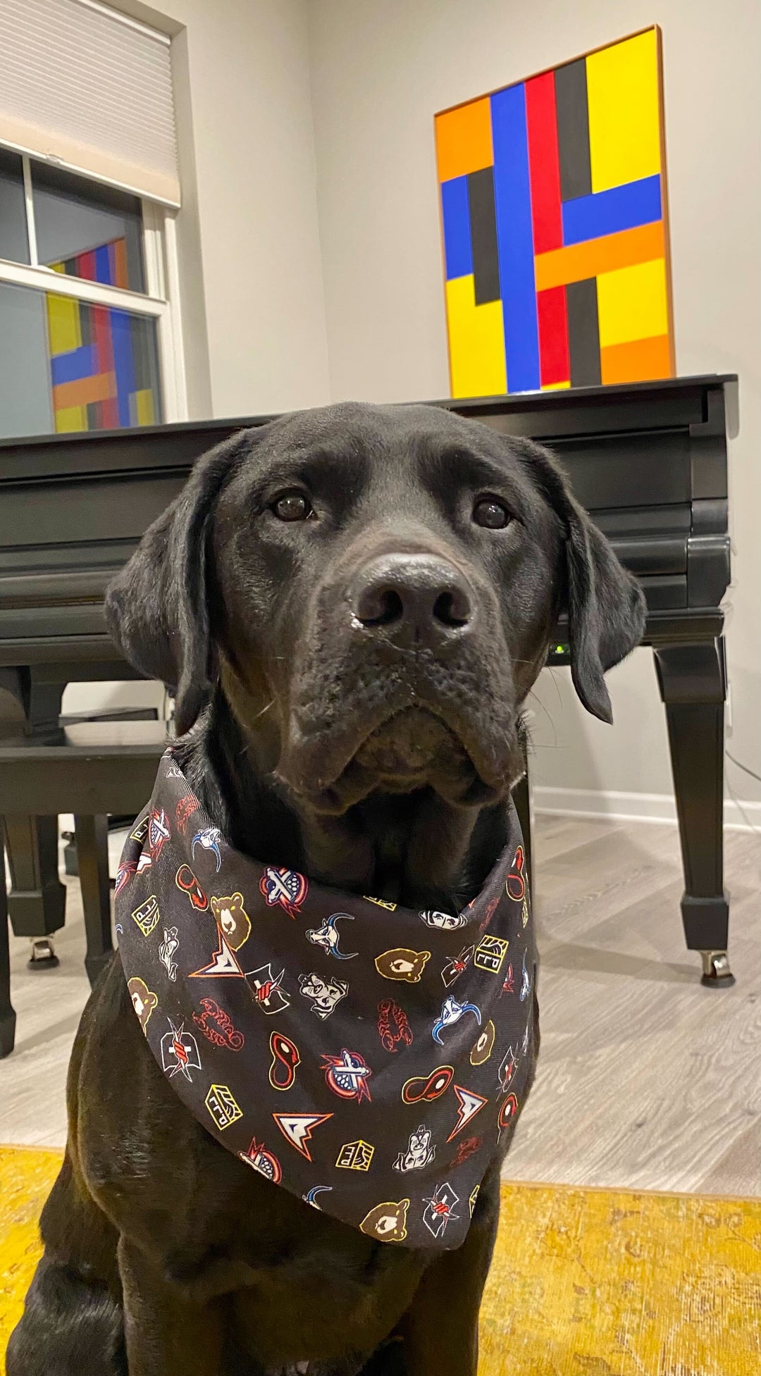 PLL Pet Bandana