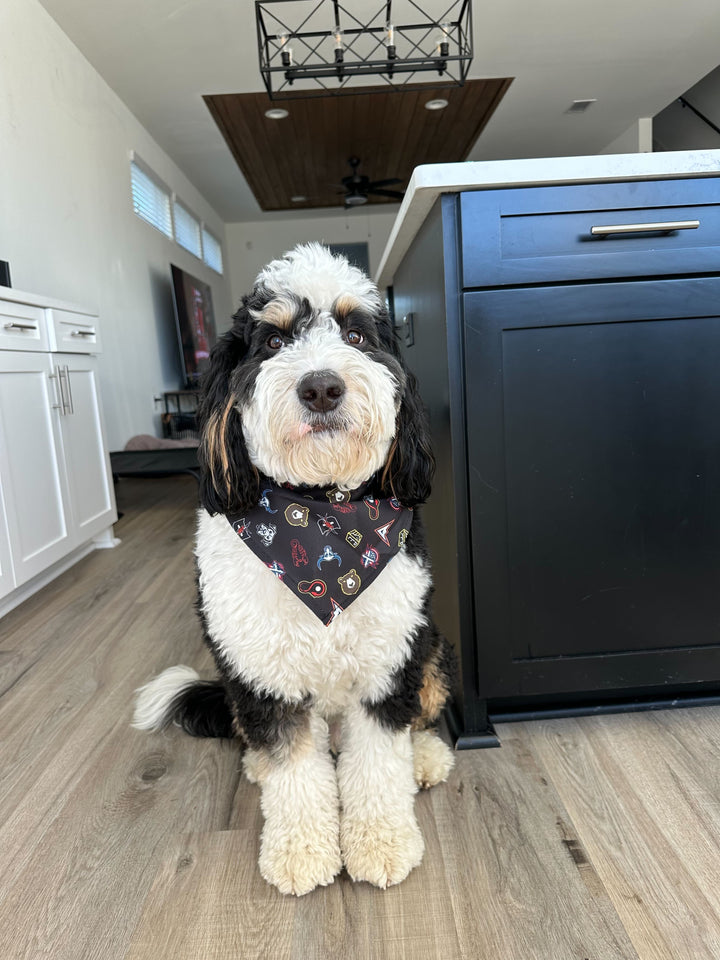 PLL Pet Bandana