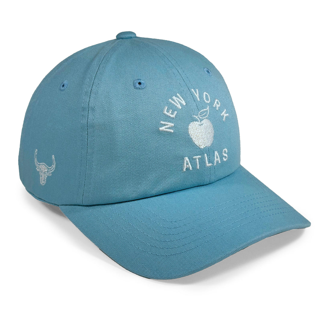 New York Atlas Novelty Icon Hat - Womens