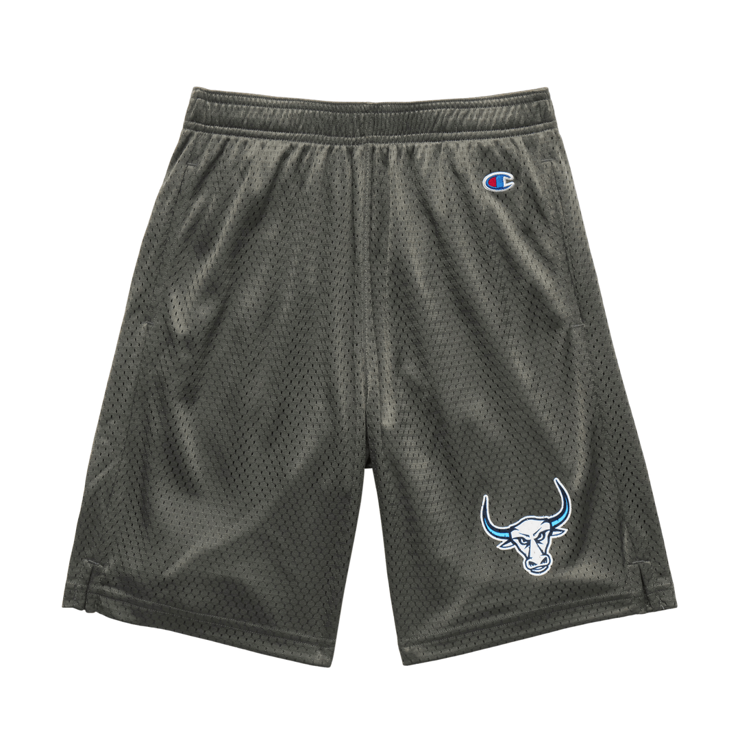 Champion youth mesh shorts on sale