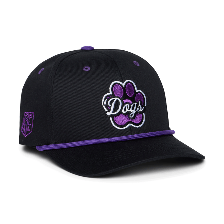 Philadelphia Waterdogs Alternate Logo Hat