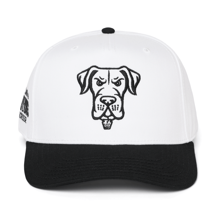 Philadelphia Waterdogs Cruiser Hat