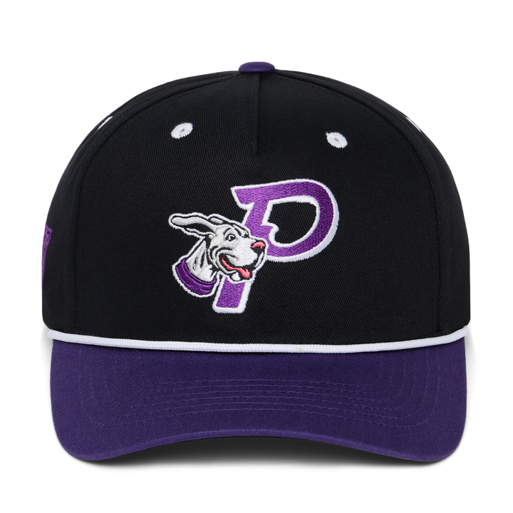 Philadelphia Waterdogs Throwback Hat