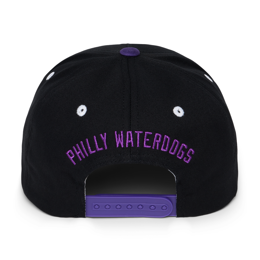 Philadelphia Waterdogs Throwback Hat