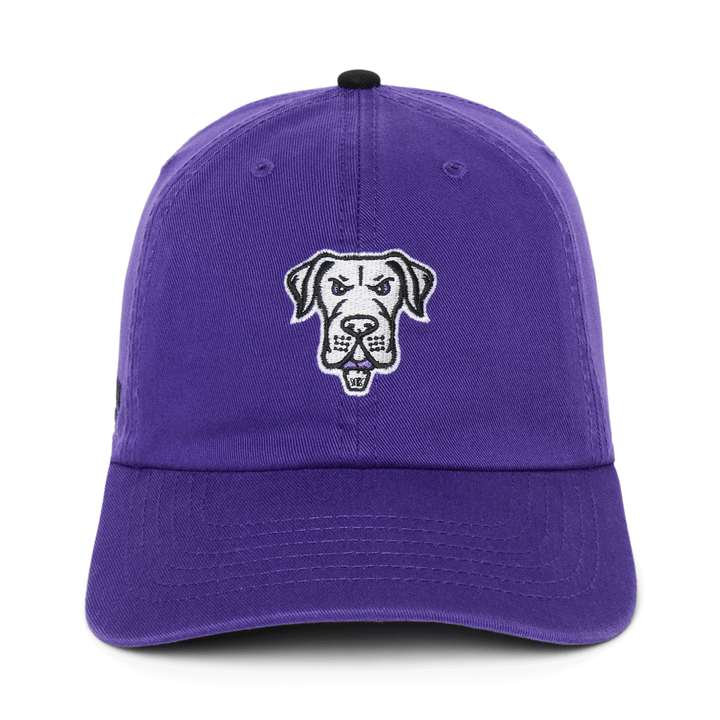 Philadelphia Waterdogs Logo Hat - Youth