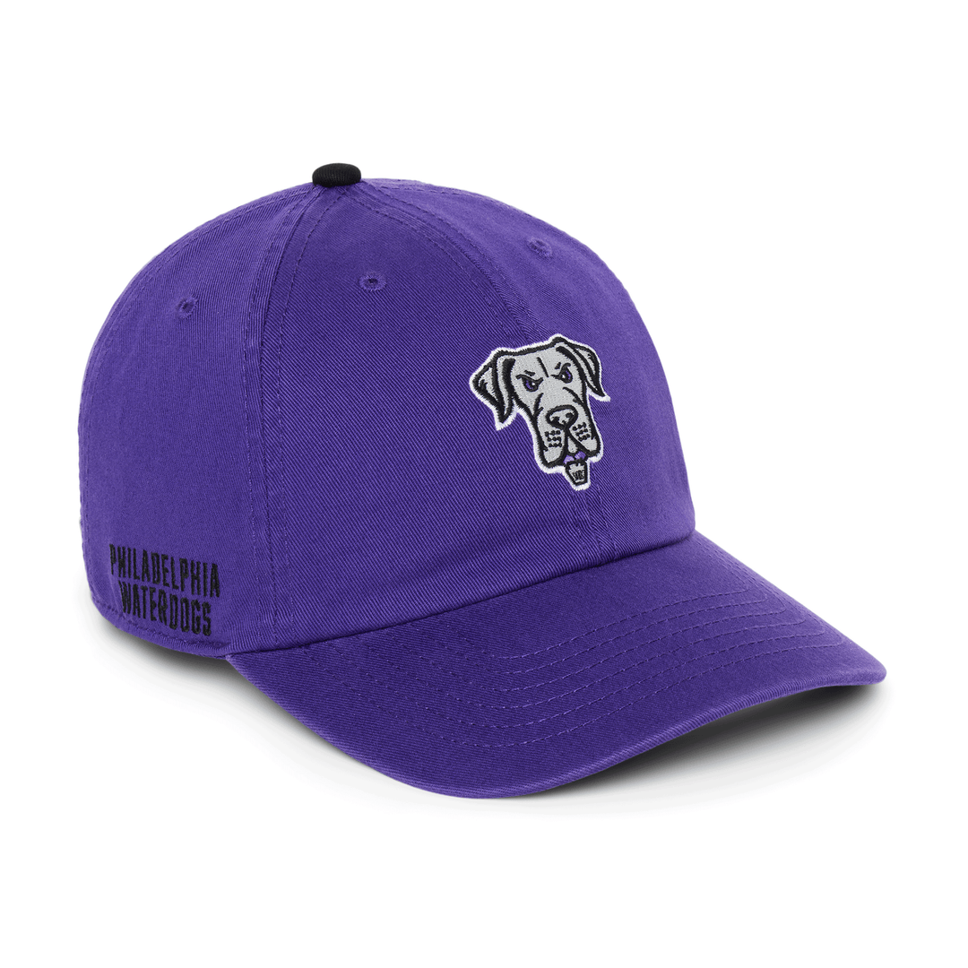 Philadelphia Waterdogs Logo Hat - Youth