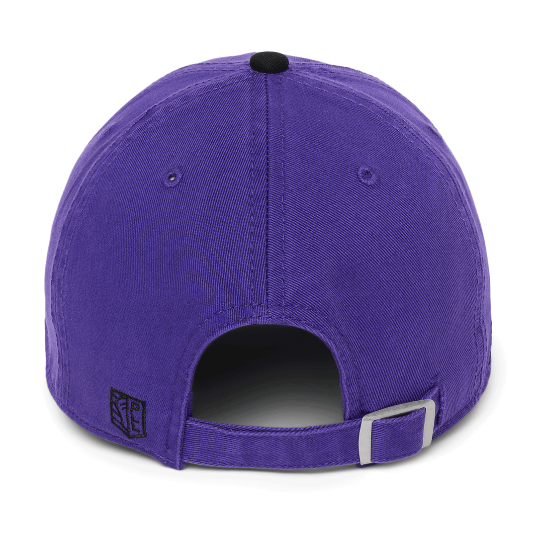 Philadelphia Waterdogs Logo Hat - Youth