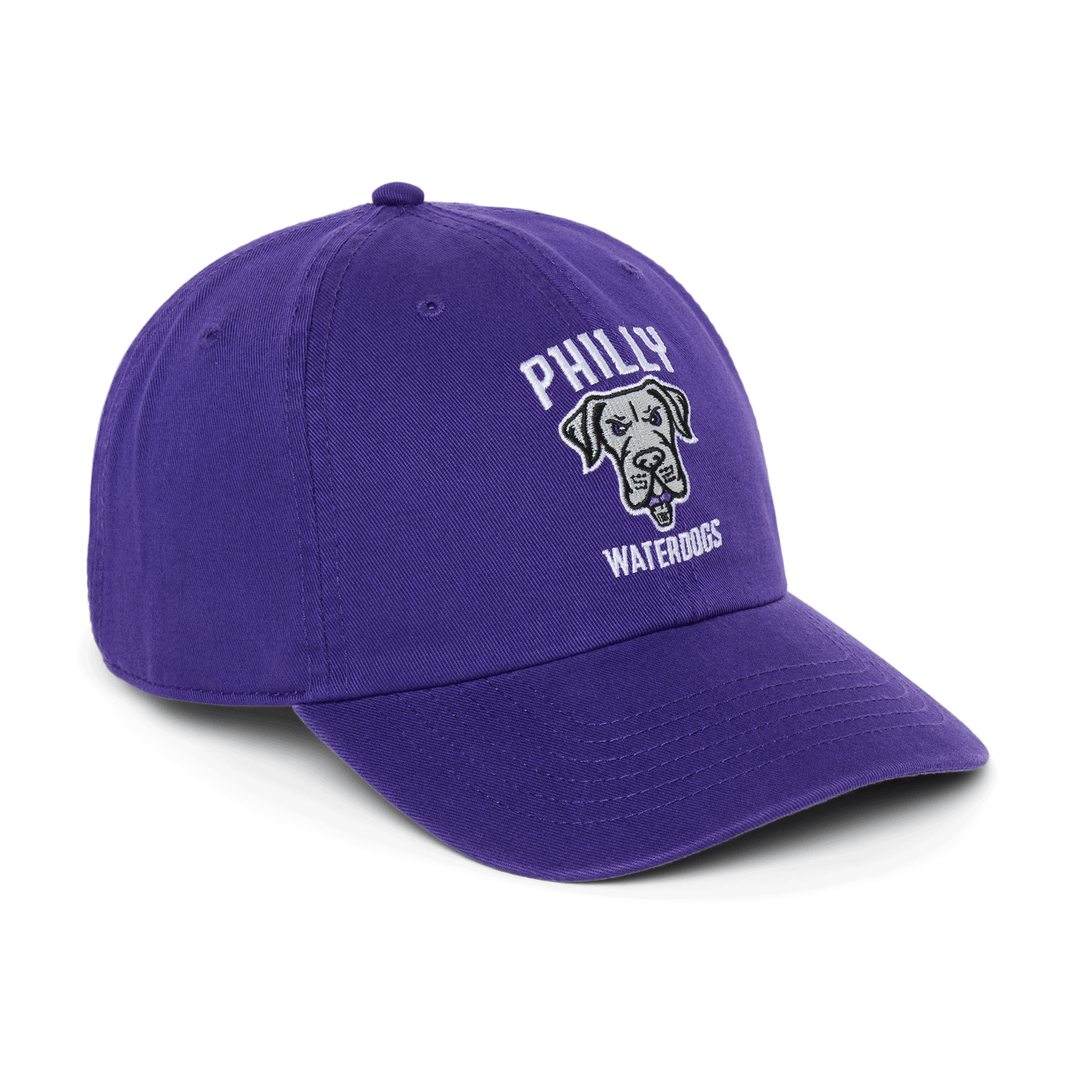 Philadelphia Waterdogs Slouch Logo Hat