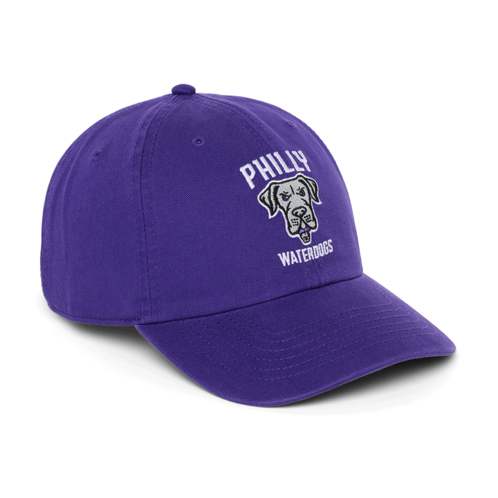 Philadelphia Waterdogs Slouch Logo Hat