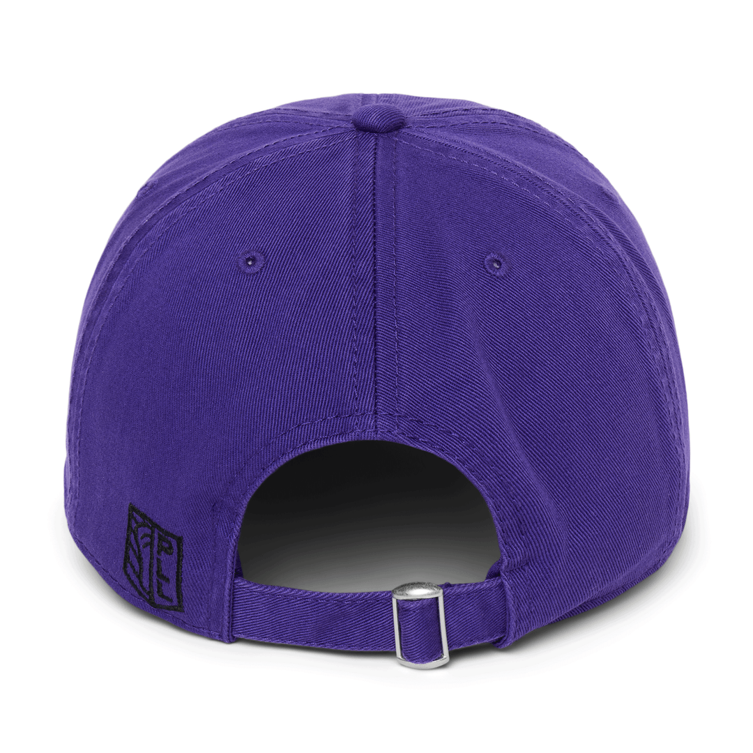 Philadelphia Waterdogs Slouch Logo Hat