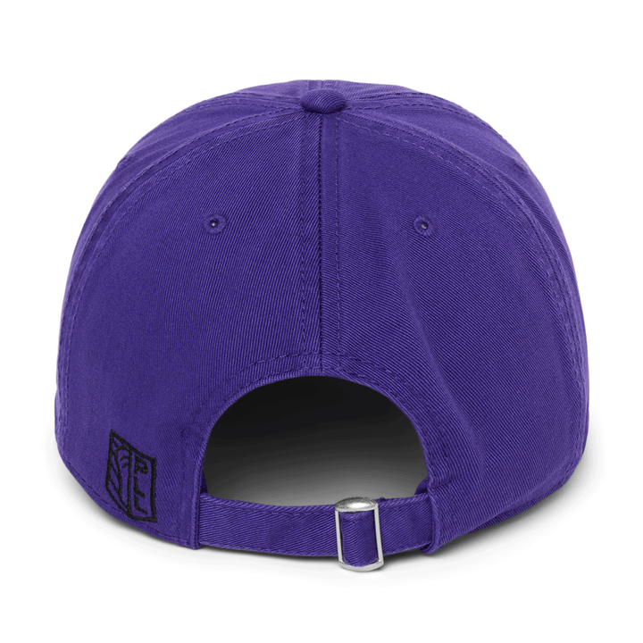 Philadelphia Waterdogs Slouch Logo Hat