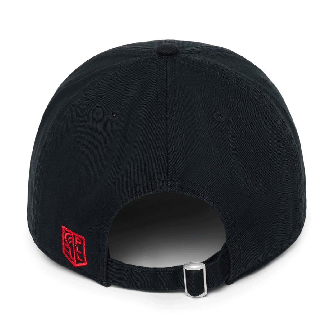 Maryland Whipsnakes Slouch Logo Hat