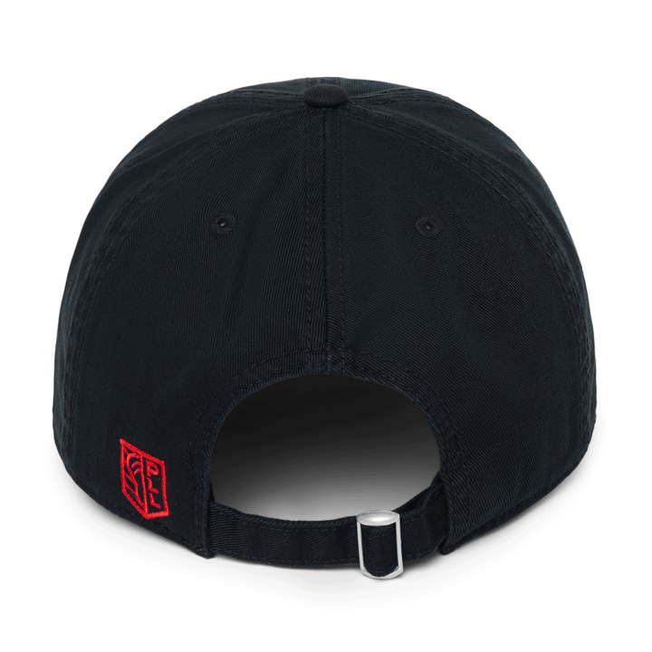 Maryland Whipsnakes Slouch Logo Hat