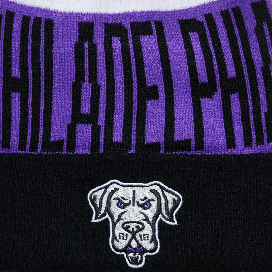 Philadelphia Waterdogs Knit Pom Beanie