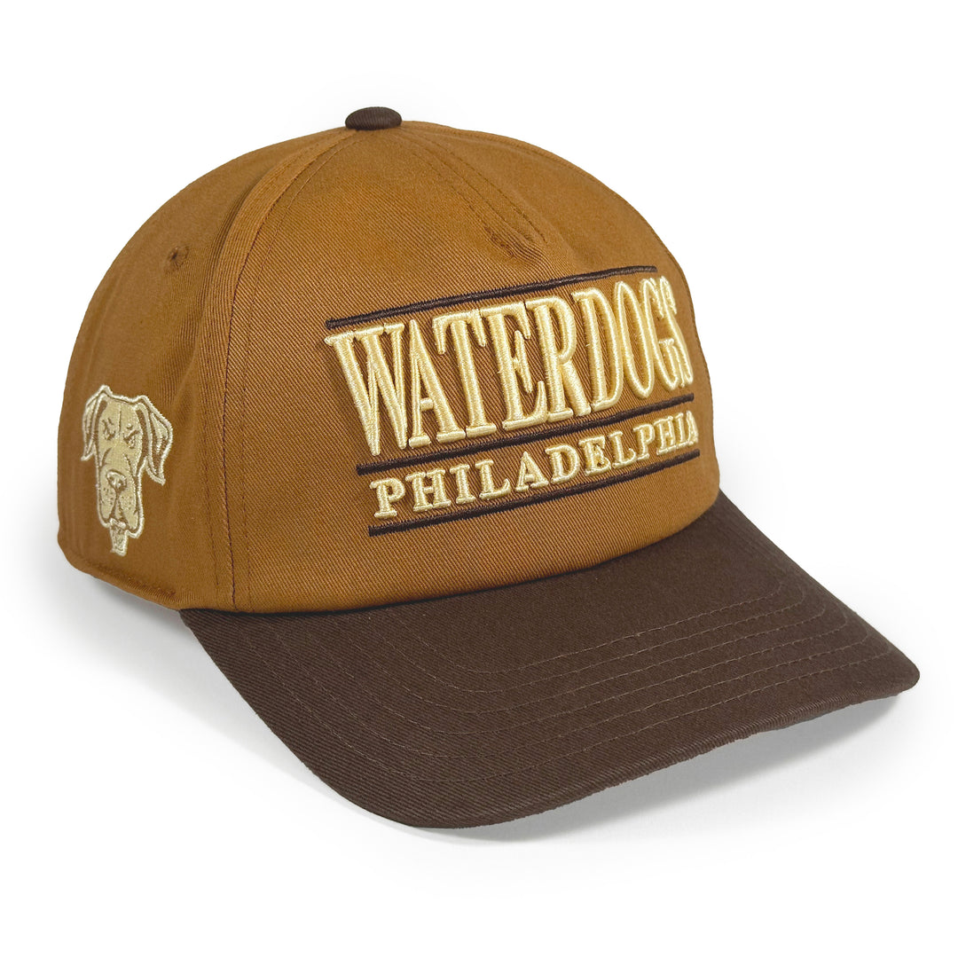 Philadelphia Waterdogs Tonal Hat