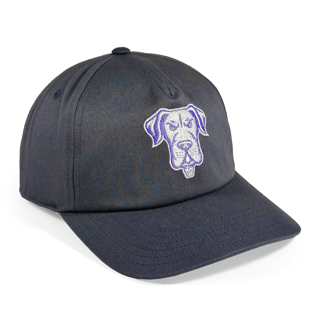 Philadelphia Waterdogs Charcoal Hat