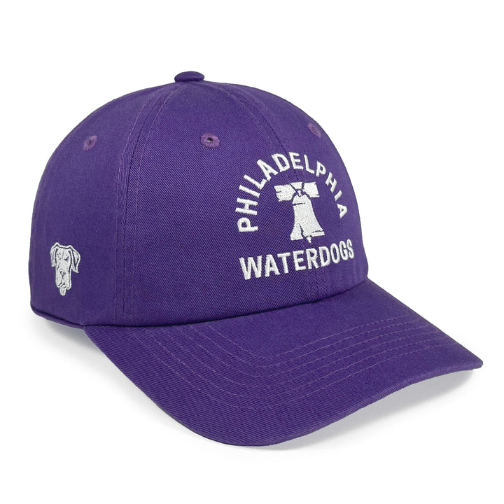 Philadelphia Waterdogs Novelty Icon Hat - Womens