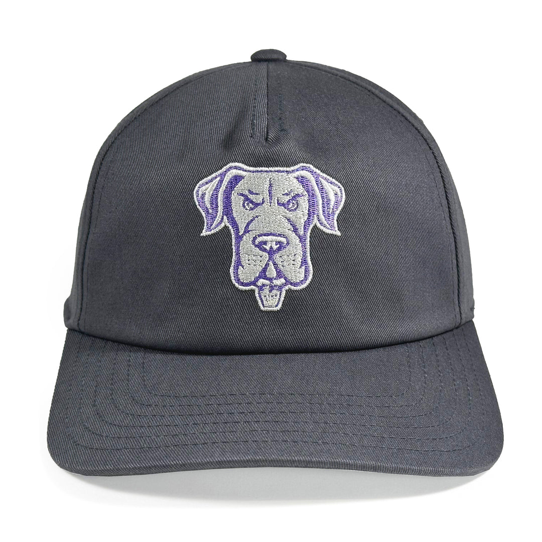 Philadelphia Waterdogs Charcoal Hat