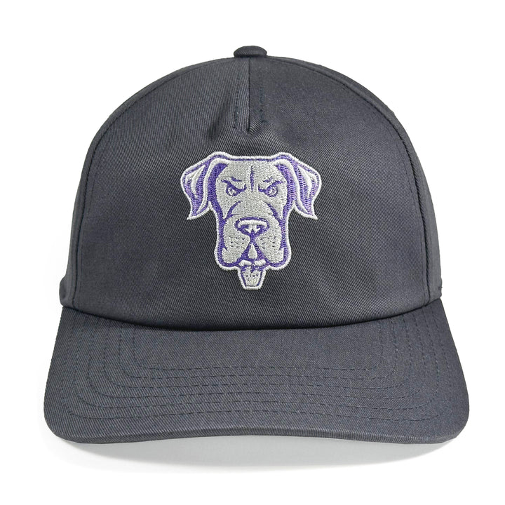Philadelphia Waterdogs Charcoal Hat