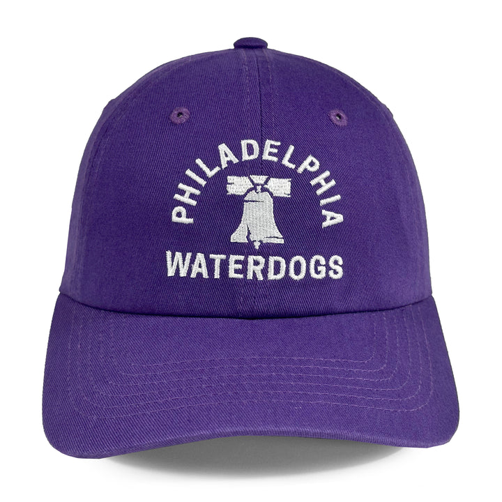 Philadelphia Waterdogs Novelty Icon Hat - Womens