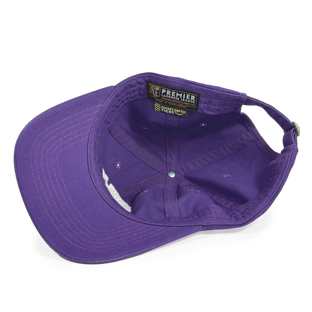 Philadelphia Waterdogs Novelty Icon Hat - Womens