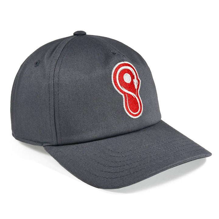 Maryland Whipsnakes Charcoal Hat