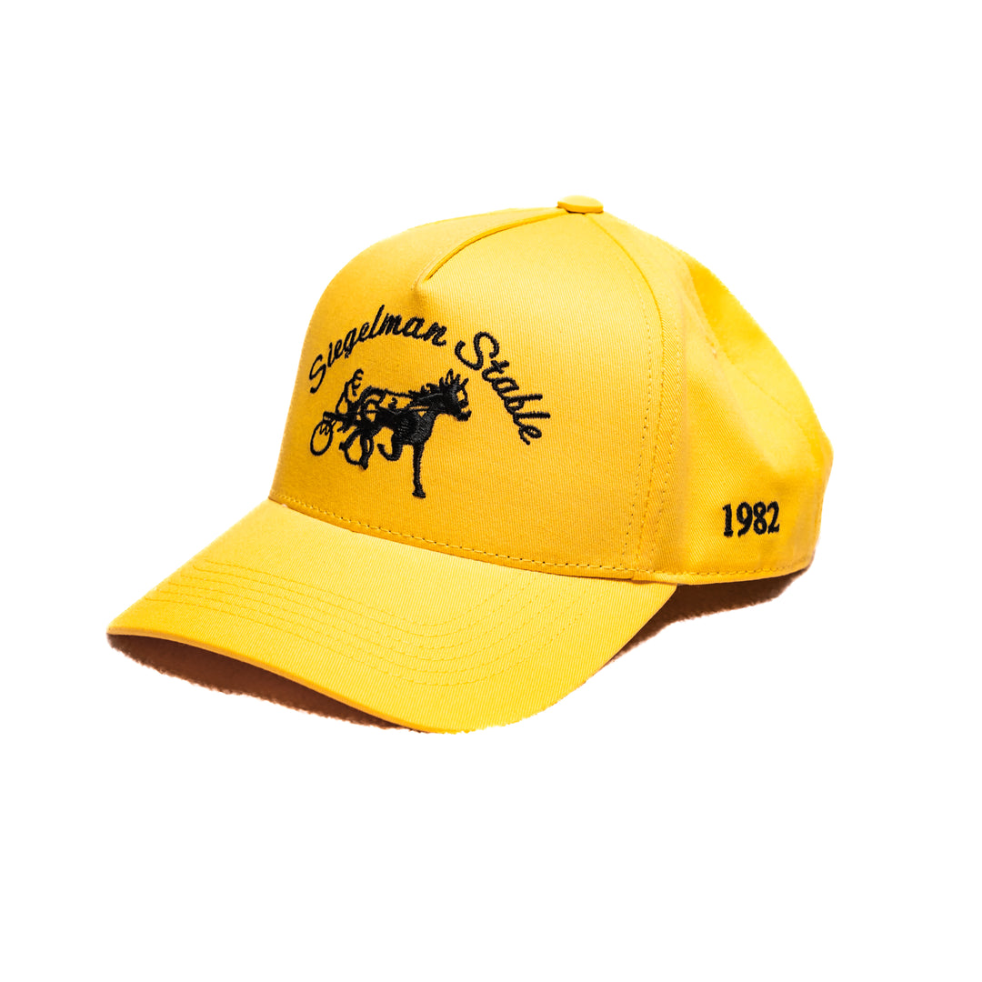 PLL x Siegelman Stable Hat
