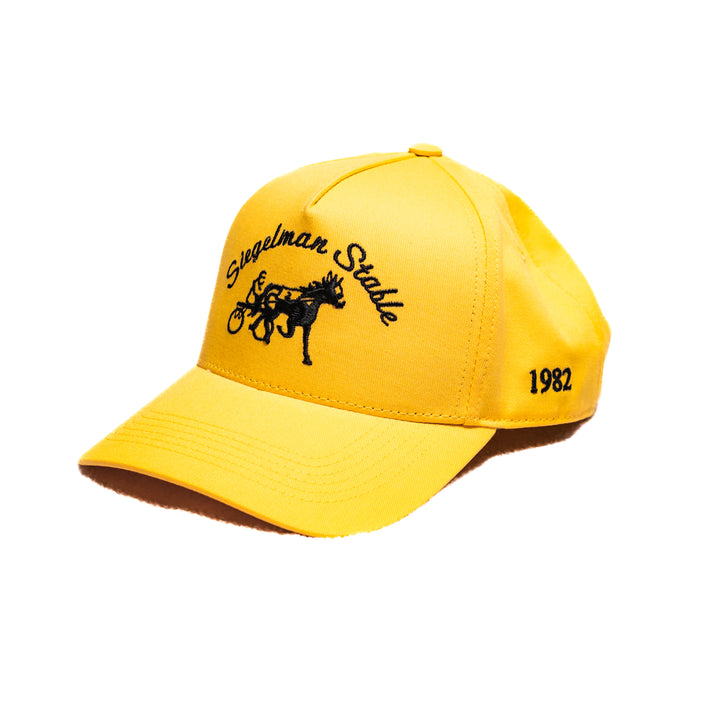 PLL x Siegelman Stable Hat