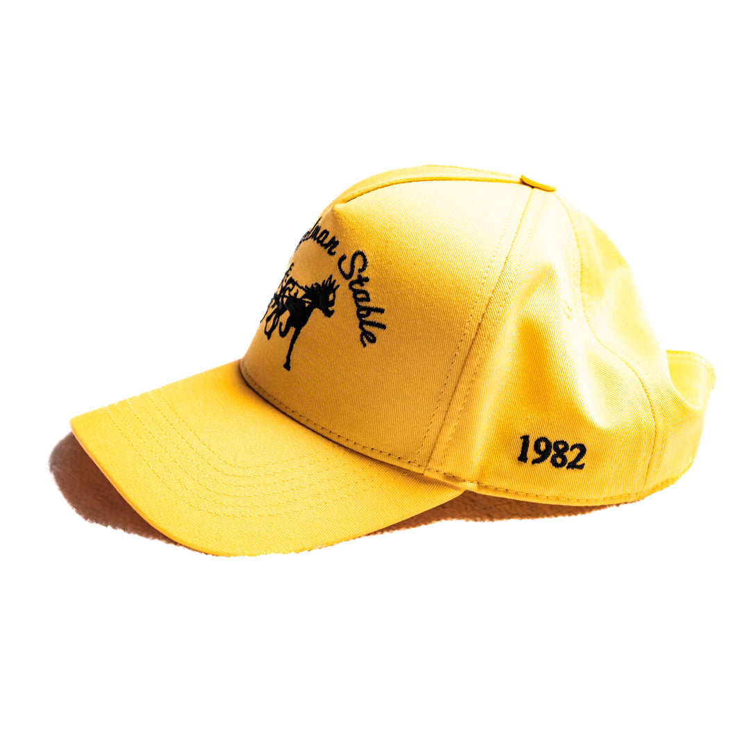 PLL x Siegelman Stable Hat