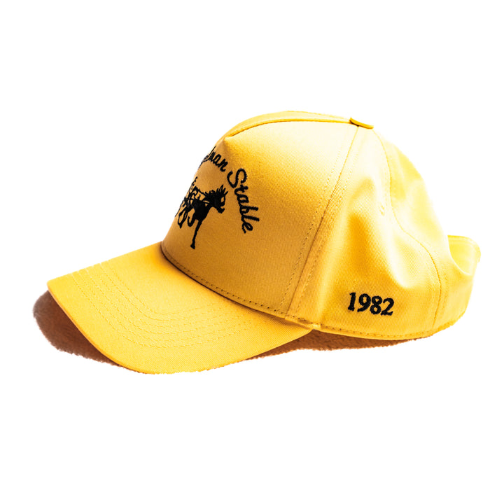 PLL x Siegelman Stable Hat