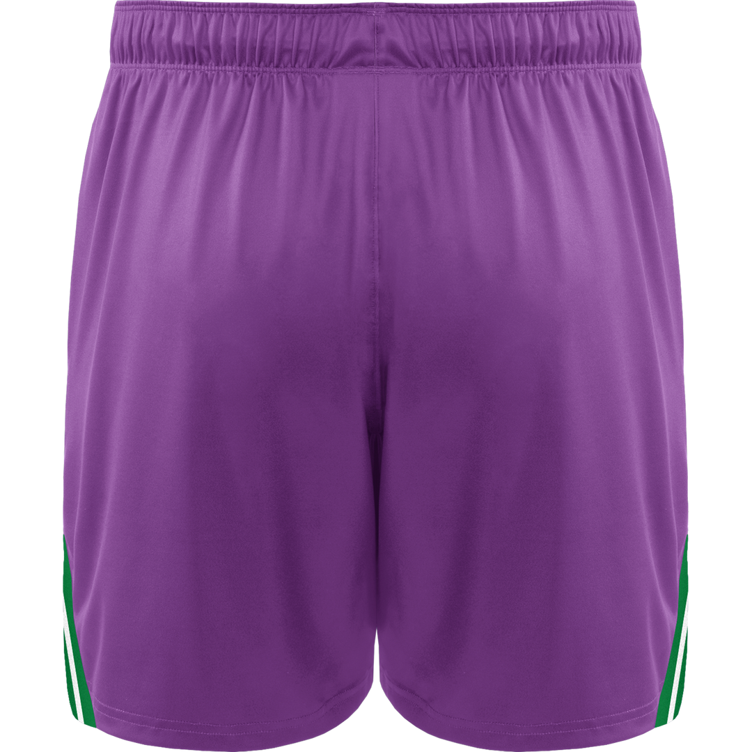 Philadelphia Waterdogs 2025 Throwback Replica Shorts